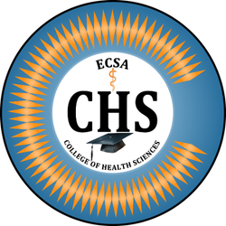 logo CHS web
